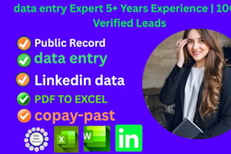 do public records and data entry expert