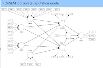 analyze research data using smartpls, spss and excel with a professional report