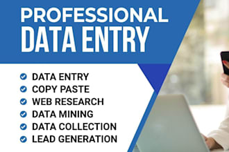 do accurate dada entry copy paste excle and web research
