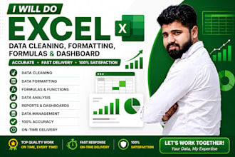 do excel data cleaning, formatting, formulas, and data entry
