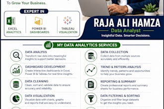 provide professional data analytics and visualization