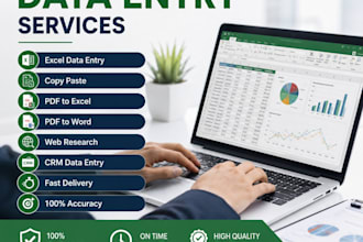 do accurate data entry, excel, copy paste and product listing