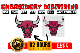 do embroidery digitizing, logo digitizing, dst file conversion for snapbacks