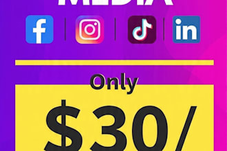 manage your facebook and instagram pages professionaly