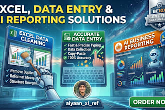 do excel data cleaning, data entry, and ai business reporting
