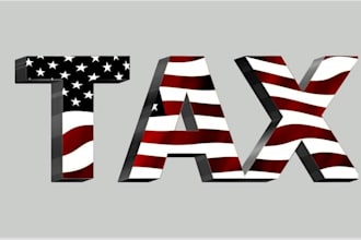 prepare USA individual or business income tax return