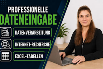 dateneingabe, internetrecherche, excel arbeiten erledigen