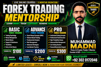 teach you forex trading weekly basis at affordable price