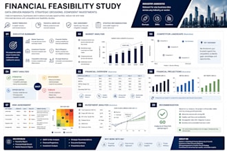 prepare a professional feasibility study, business plan and financial model