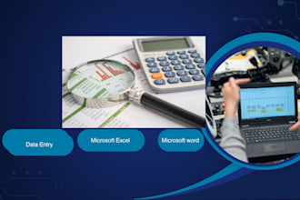 do professional data entry excel and typing work