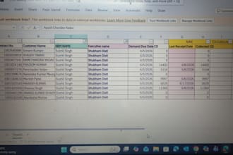 do expert data entry, copy paste, and excel data entry work
