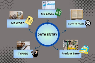 professional data entry and ms word