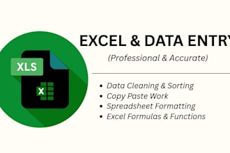 do professional excel data entry, data cleaning and formatting