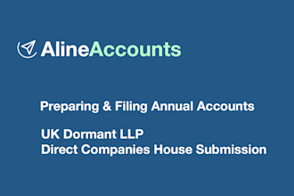 prepare and file UK dormant llp annual accounts to companies house