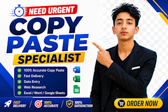 professional copy paste work with 100 accuracy