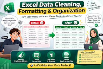 excel data cleaning, formatting and organization