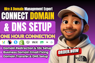 connect domain to your website, or transfer domain