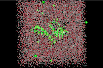 run gromacs molecular dynamics simulation for your protein