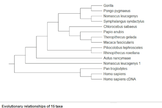 build phylogenetic trees and perform sequence alignment analysis