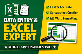 do accurate data entry excel copy paste and web research
