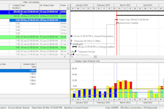 create professional primavera p6 project schedules and wbs