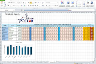 be your professional data entry and excel expert