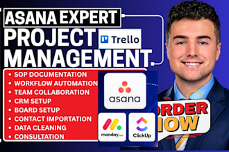 setup asana, clickup, monday CRM project mangement and workflow automation