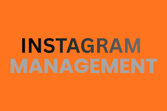 instagram management for brand growth