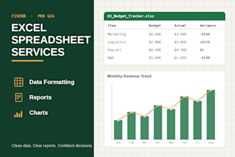 professionally use excel sheets and create reports and sheets