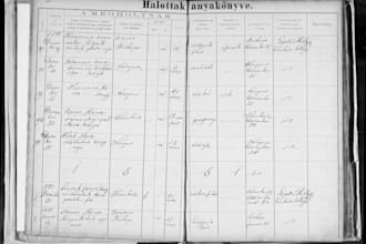 research your european immigrant ancestry