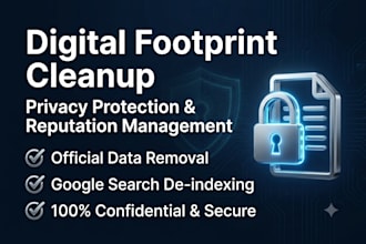 provide professional online reputation management and data privacy cleanup