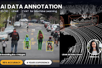 do image, video, audio and lidar annotation for ai