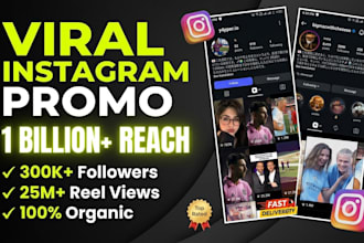 do a viral instagram shoutout and massive reach promotion for your brand