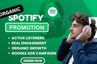 do spotify album promotion, spotify music track promotion