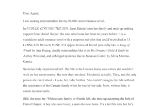 review your query letter, synopsis and book pitch