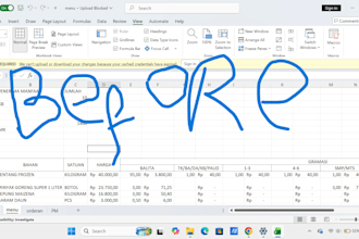 do accurate excel data entry, copy paste, and typing
