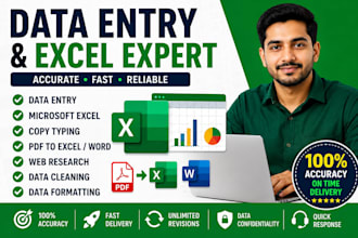 data entry, cleaning, analysis, formate, PDF to excel, typing