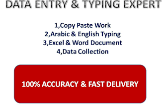 do professional data entry copy paste and arabic english typing