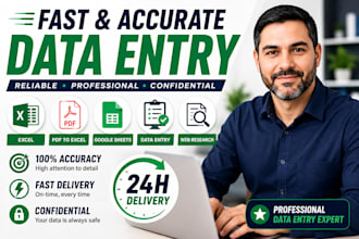 data entry excel expert