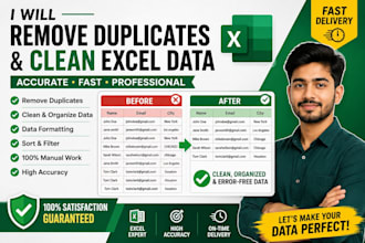 remove duplicates and clean excel data professionally