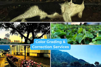 color grade and add cinematic tones to your photo