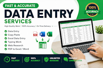 do fast and accaurate data entry excel typing copy past