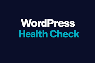 audit your wordpress site for security, speed and plugin health