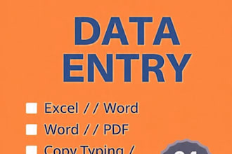 do excel sheet, data entry and google sheets work