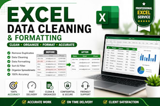 clean, organize, and format your excel spreadsheet