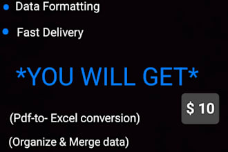 clean, format, split the excel data