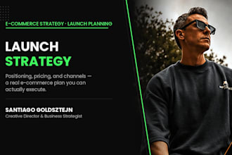 create an ecommerce business strategy and launch plan