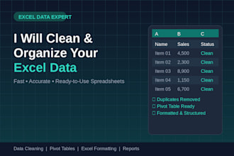 clean, organize and format your messy excel data