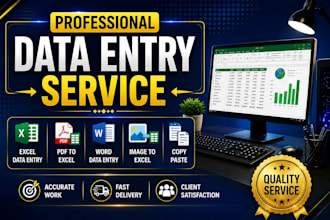 do accurate  excel data entry, PDF to excel, copy paste