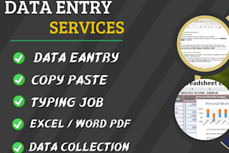 do expert data entry and web research work